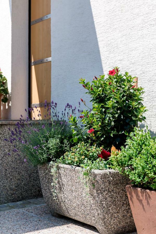 Rozna Dolina Apartment Любляна Экстерьер фото